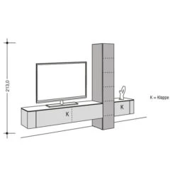 Hülsta Gentis Wohnwand 1 - Akzent Leder - Breite 299,2 Cm
